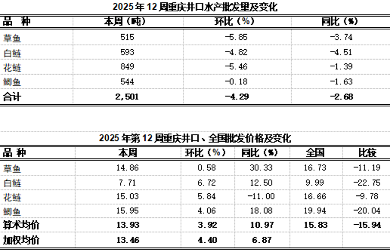 重庆商贸公司的商业脉动:机遇与挑战并存